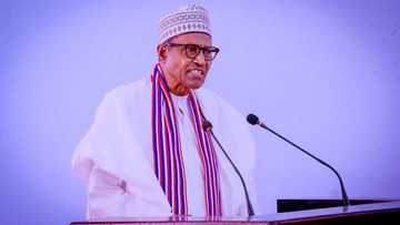 Explainer: 10 key steps to impeach a Nigerian president