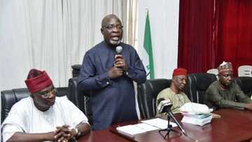 Presidency mounting pressure on INEC to cancel elections - PDP alleges