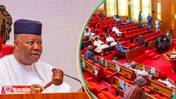 BREAKING: Senate moves to create local government electoral commission, Nigerians react