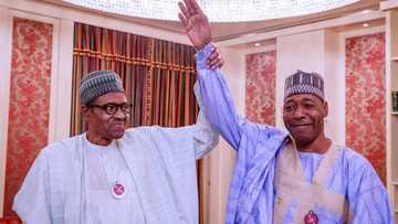 Gwamnan Borno ya nada SSG, COS, PPS, da sauran mukamai bayan kwana 20 a ofis