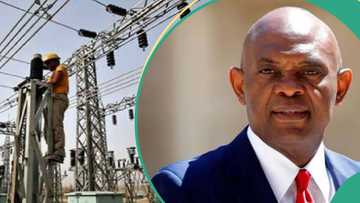 Tony Elumelu’s Transcorp Power acquires 60% of Abuja DisCo