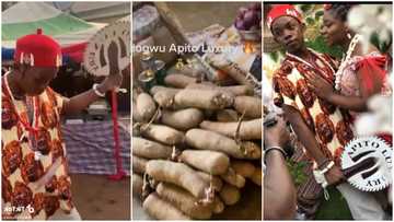 "Na all their family you marry?" 20-year-old man says he spent over N12.3m on wedding, stirs reactions