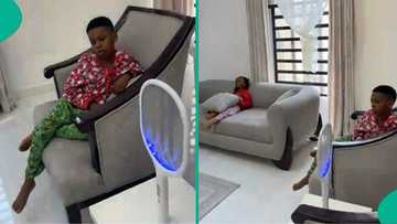 Rich kids enjoy 24 hours solar light and internet in village, video inspires many on TikTok