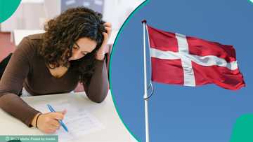 Denmark lists 6 categories of foreigners who can become citizens without passing naturalisation test