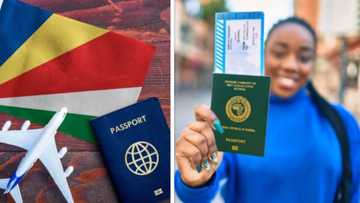 "£1 million fraud": Seychelles explains visa ban on Nigerian passport holders