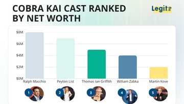Ranking the Cobra Kai cast's net worths, from franchise OGs to young breakout stars