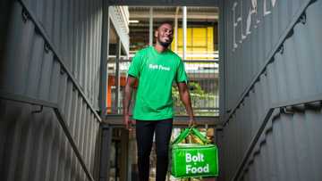 Celebrate Nigeria with Yummy Delicacies on Bolt Food!