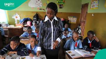 Full list: Top 10 countries that pay teachers more than 1 million naira per month
