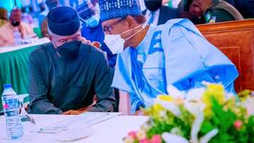 2023 elections: None of our genuine members left, says Buhari-Osinbajo support groups