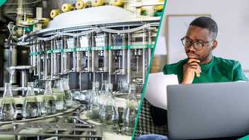 7Up announces 2026 graduate job opportunity, releases link to apply
