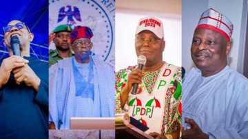 Cikakken Jerin Takardun Karatun da Tinubu, Atiku, Peter Obi, Kwankwaso Suka Ba INEC Kafin Zaben 2023