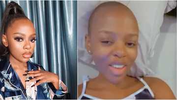 Nigerians gush as BBNaija Diane shows off her bald look (video)