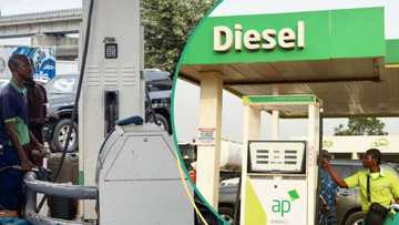 Fresh fuel price update: Diesel surges in Lagos, Warri, Port Harcourt despite stable petrol rates