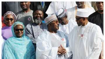 Yanzu Yanzu: Shugaba Buhari ya nada Buba Marwa a matsayin Shugaban NDLEA