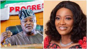 Why we will miss Honourable Adetoun Adediran, Lagos Speaker mourns Ex-Lawmaker