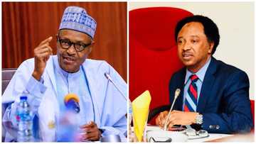 Track and trap bandits and terrorists: Shehu Sani reacts as FG bars outgoing calls on unlinked SIMs