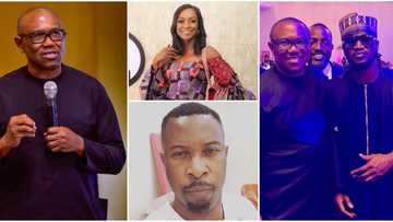 Peter Obi: 7 celebrities who have publicly declared support for LP's presidential candidate