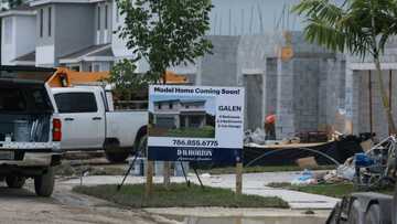 Sales of new US homes slow in October