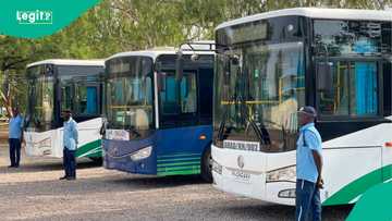 Ranar Dimokuraɗiyya: Tinubu ya ba BUK da jami'o'i 2 kyautar motocin CNG a Kano
