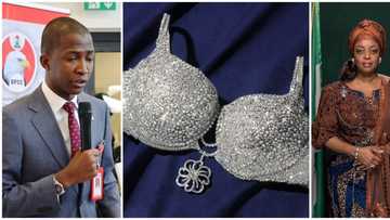 Diezani Madueke's diamond bra: EFCC boss reveals truth about raid on ex-minister's apartment