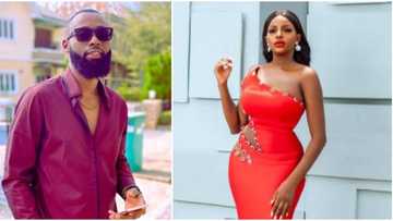 BBNaija reunion: You’re a community girl, you liked all the guys in the house, Tochi blasts Wathoni