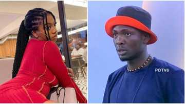 BBNaija: Nigerians speak after heated fight between Angel and Sammie, take sides on who should be blamed