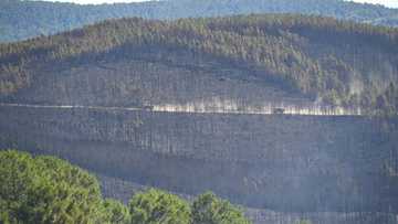 Firefighters contain 'mega-fire' in southern France