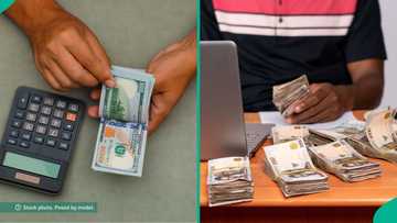 Naira rises further in FX markets, Traders quote new exchange rate