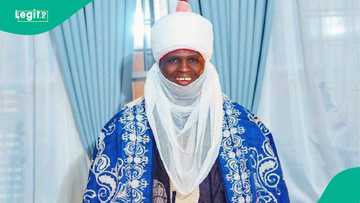 Daura za ta yi cikar fari: Za a naɗa Rarara sarautar 'Sarkin Waƙar Ƙasar Hausa'