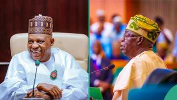 2025 budget: Actual amount Tinubu, Shettima set aside for travels, refreshments surfaced