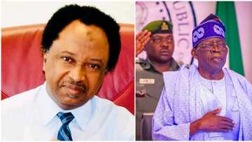 Shehu Sani reveals the liabilities in President Tinubu’s cabinet