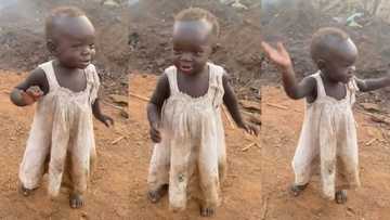 "I want to adopt her": Beautiful baby girl with cute black skin waves hands happily, video gets 950k likes