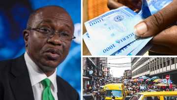 Experts Disagree With CBN on Interest Rate Hike Effect on Inflation in Nigeria