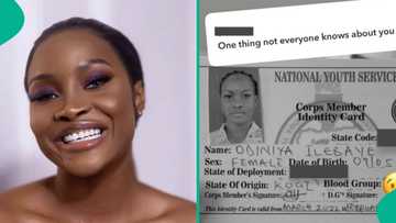 BBNaija's Ilebaye accused of being underage while on reality show, her real age emerges: “she lied”