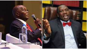 Error or fact? "PDP is Aware they're not winning this election" - Atiku's campaign spokesman speaks in video