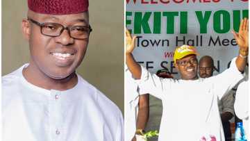 Olusegun Oni’s bio: profile of SDP's Ekiti governorship candidate