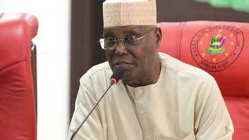 Da Duminsa: Atiku Ya Nada Jigo A PDP Matsayin Kakakin Kwamitin Kamfen Dinsa A Zaben 2023