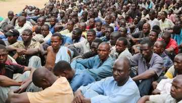 Sun bar ta'addanci: Rundunar soji ta bayyana adadin tubabbun 'yan Boko Haram da ke hannun gwamnati