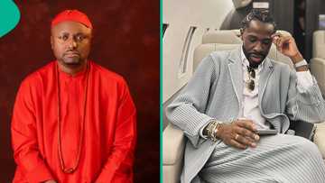 Davido's Isreal DMW, ex-lawyer Bobo's reactions as they meet amid OBO's b'day trends: "Cat and dog"