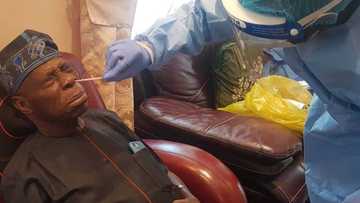 Sakamakon gwajin cutar korona na tsohon shugaban kasa Obasanjo ya fito (hotuna)