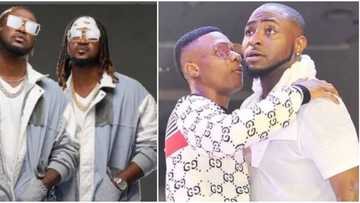 Music fans more excited about PSquare's reconciliation than Wizkid and Davido