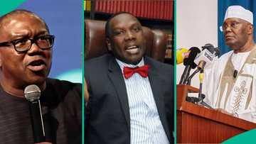 "Internally displaced politicians": Bwala blasts Atiku, Obi, others over 2027 plot against Tinubu