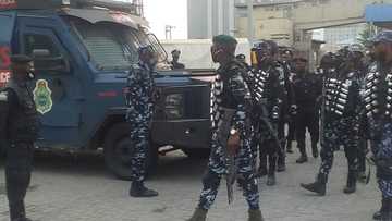 Sunaye: Dubun 'yan bindigan11 dake basaja a matsayin makiyaya a Oyo ta cika