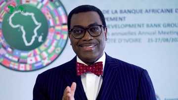 Yanzu-yanzu: Akinwunmi Adesina ya sake zama shugaban AfDB