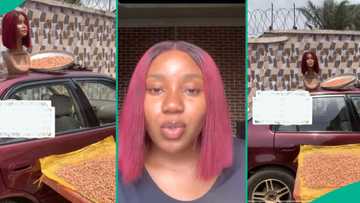 Lady’s mum uses her bone straight wig as scarecrow to stop birds from eating groundnut, she reacts