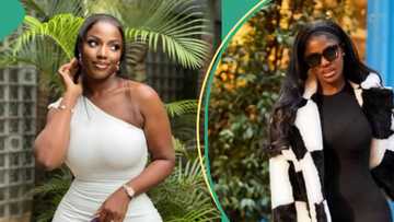 “Make we no dey drag pot”: Reactions as Hilda Baci says she doesn’t want a man who can cook