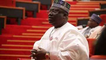 I won’t preside over a rubber-stamp Senate, says Ahmad Lawan