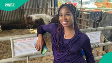 Tragedy as Nigerian woman who moved to UK on skilled worker visa kills self