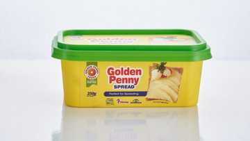 How to make delicious homemade meatpies with Golden Penny Spread