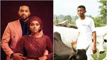 Makiyayin da yaso auren Hanan Buhari ya bayar da gudunmawar shanu 50